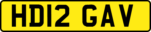 HD12GAV