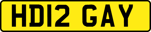 HD12GAY