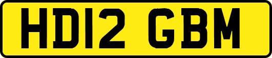 HD12GBM