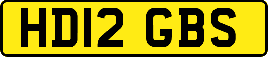 HD12GBS