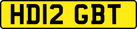HD12GBT