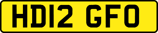 HD12GFO