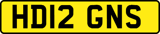 HD12GNS