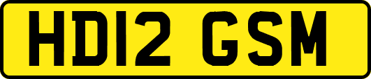 HD12GSM