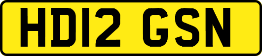 HD12GSN