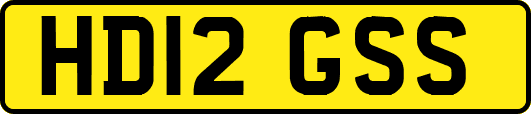 HD12GSS