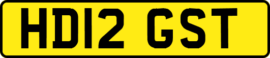 HD12GST
