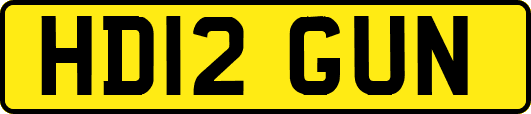 HD12GUN