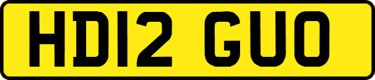 HD12GUO