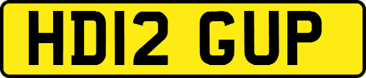 HD12GUP