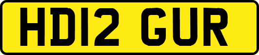 HD12GUR