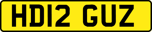 HD12GUZ