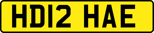 HD12HAE
