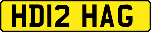 HD12HAG