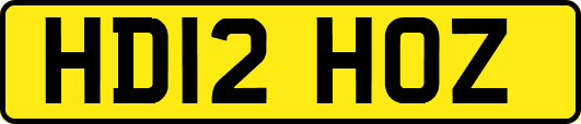 HD12HOZ