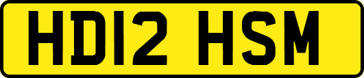HD12HSM