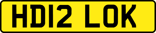 HD12LOK