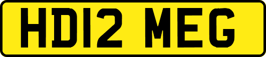 HD12MEG
