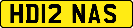 HD12NAS