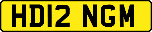 HD12NGM