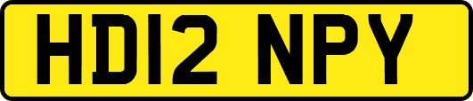 HD12NPY