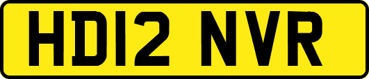 HD12NVR