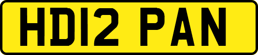 HD12PAN