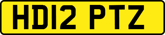 HD12PTZ