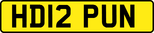 HD12PUN