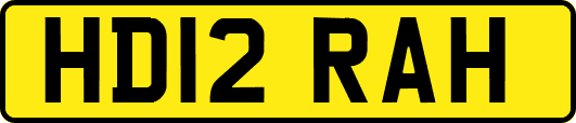 HD12RAH