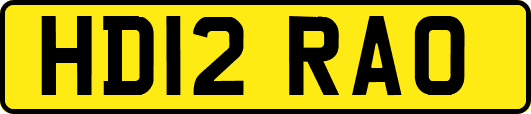 HD12RAO