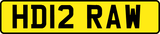 HD12RAW