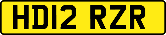 HD12RZR