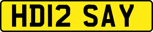 HD12SAY