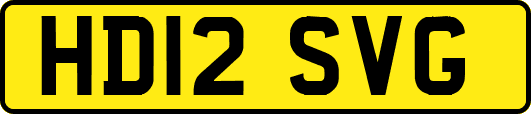 HD12SVG