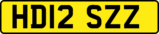 HD12SZZ