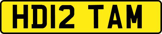 HD12TAM