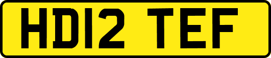 HD12TEF