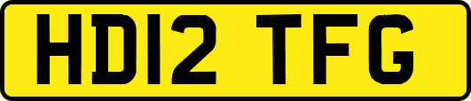 HD12TFG