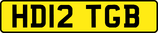 HD12TGB