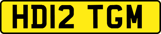 HD12TGM