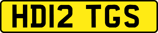 HD12TGS