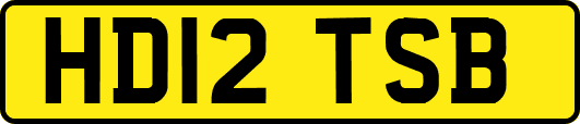 HD12TSB
