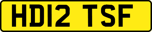 HD12TSF