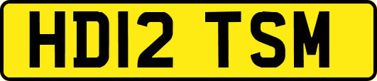 HD12TSM
