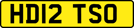 HD12TSO