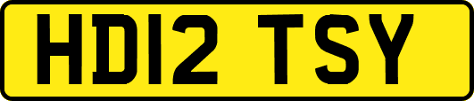 HD12TSY