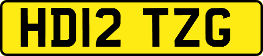 HD12TZG