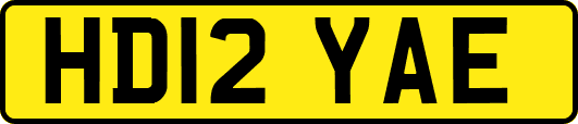 HD12YAE