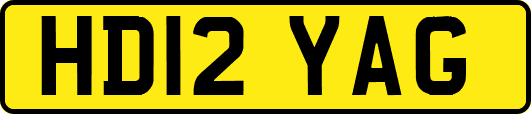 HD12YAG